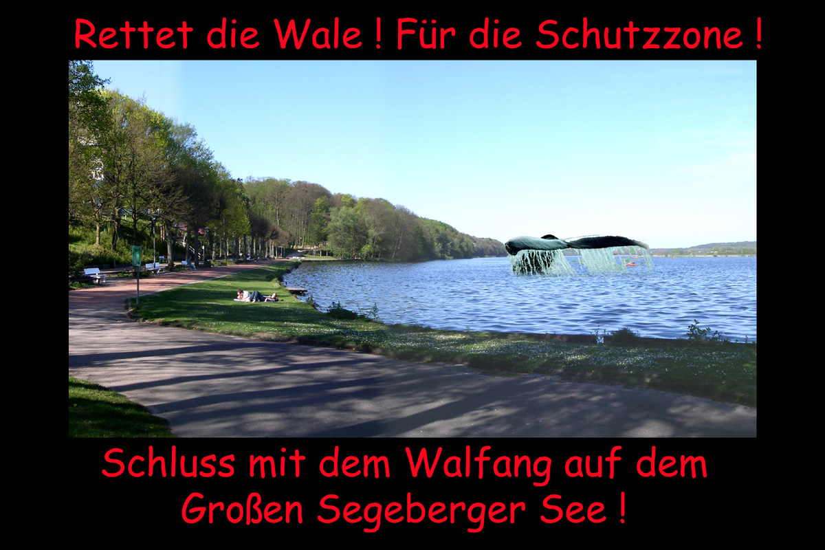 Am Großen Segeberger See/ Foto/Montage: CD / Nutzung nur mit Zustimmung des Fotografen!  